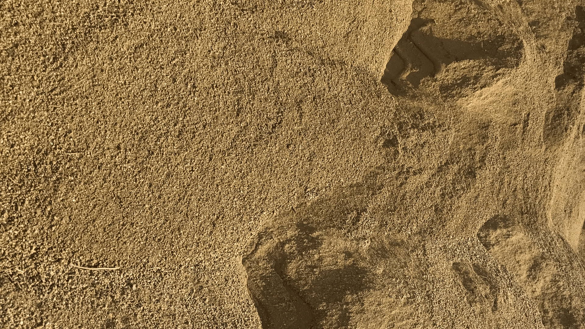 California Gold Decomposed Granite - Aggregates