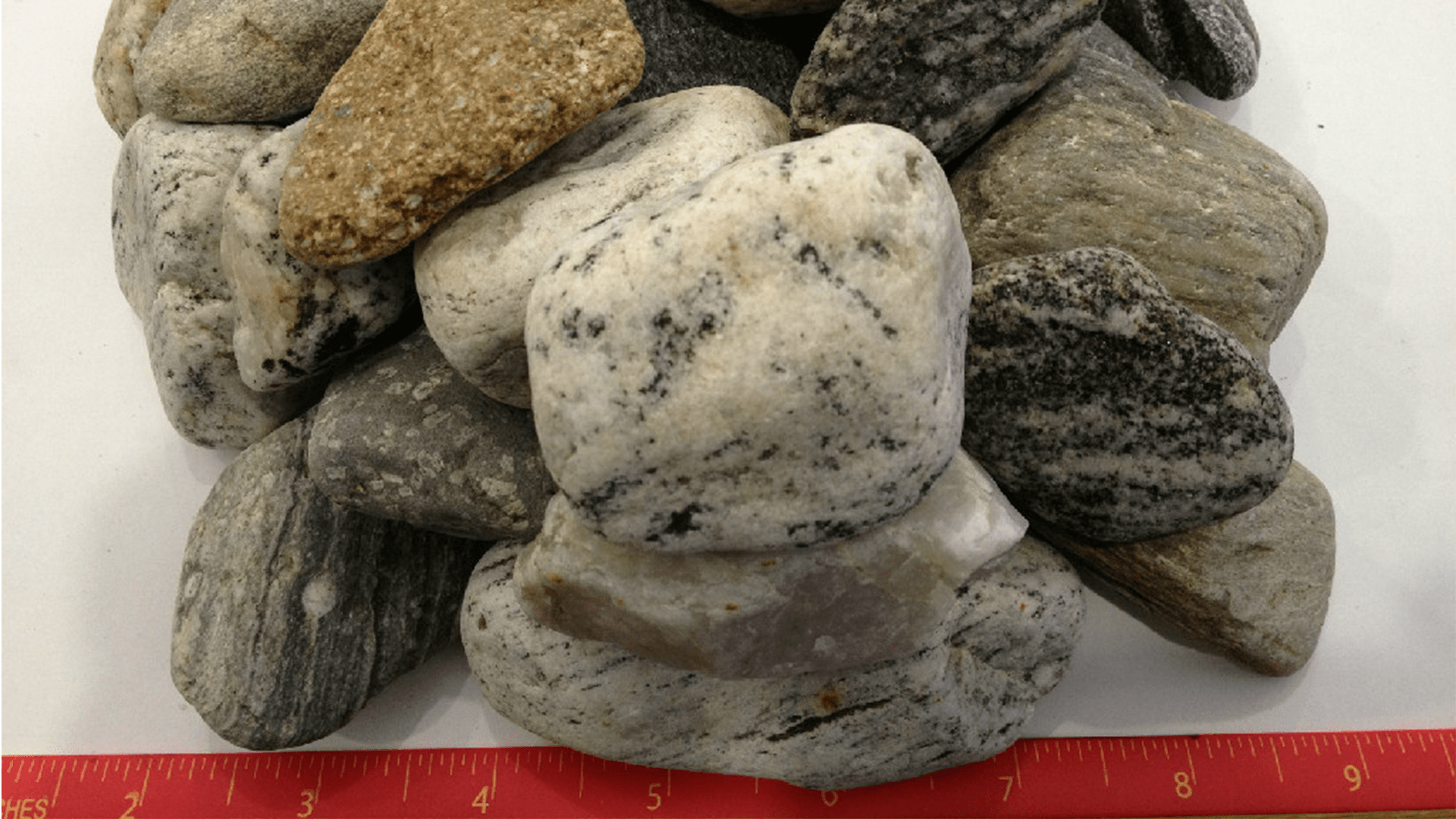 Leopard Granite 1 1/2" - 2 1/2". Pebbles.