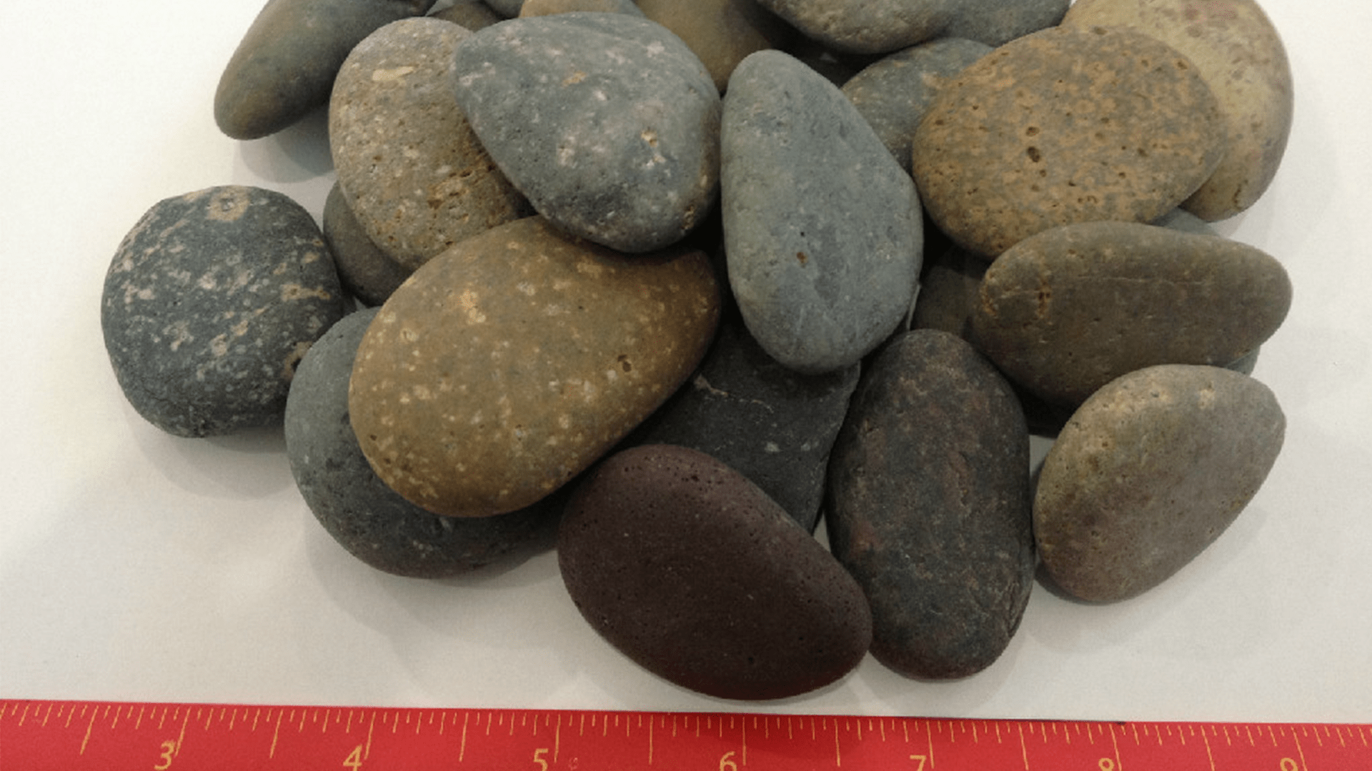 Mixed Mexican Beach Pebbles - Pebbles