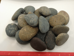 Mixed Mexican Beach Pebbles - Pebbles